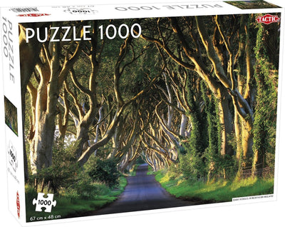 Tactic puzzel dark hedges in northern ireland 1000 stukjes