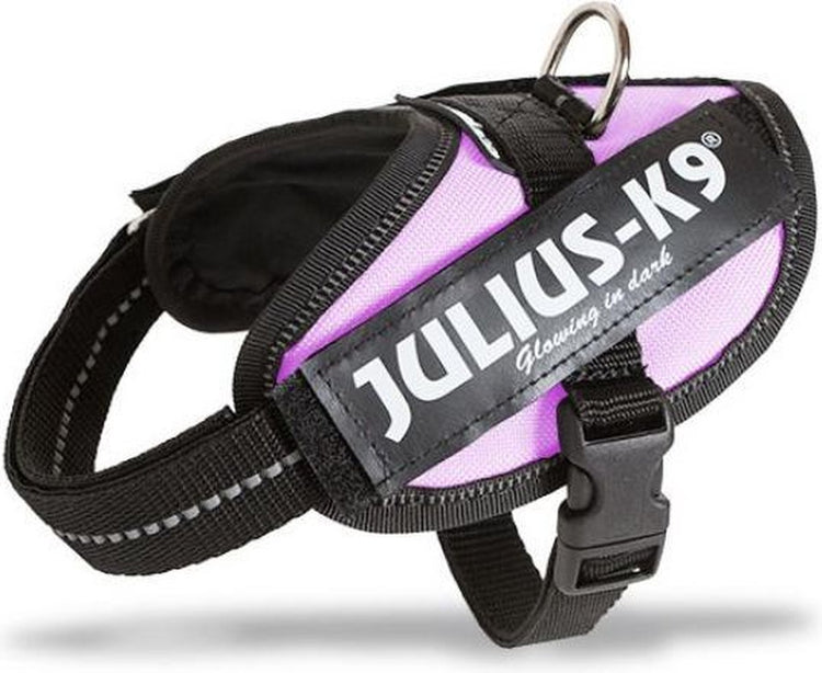 Julius k9 wereld bekende idc powertuig voor tekstlabels roze maat 1