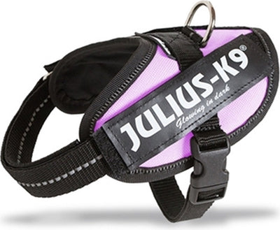 Julius k9 julius-k9 idc®powertuig, 2xs - baby2, roze