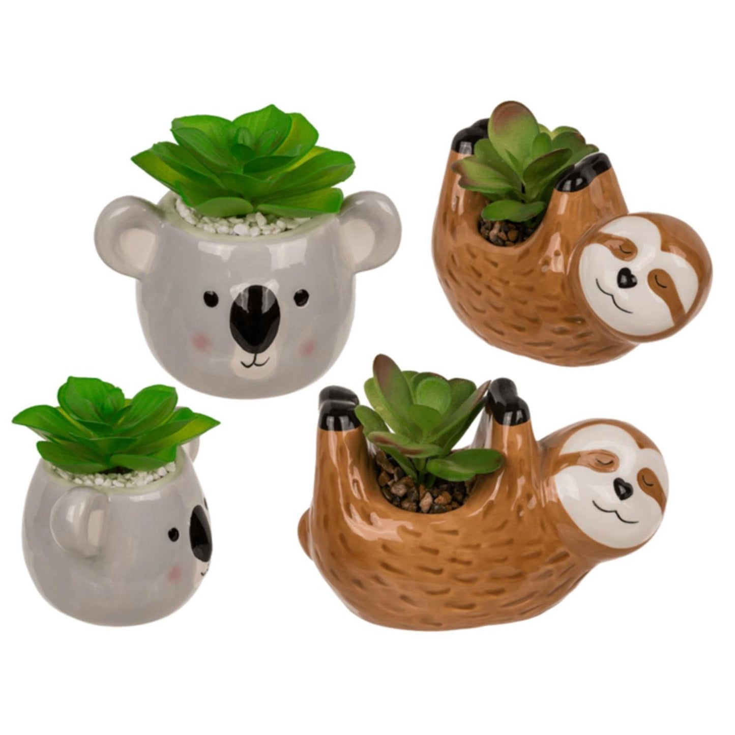Ootb vetplant in pot, luiaard of koala