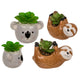 Ootb deco vetplant in keramieken pot, luiaard of koala 14x7x9cm