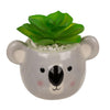 Ootb vetplant in pot, luiaard of koala