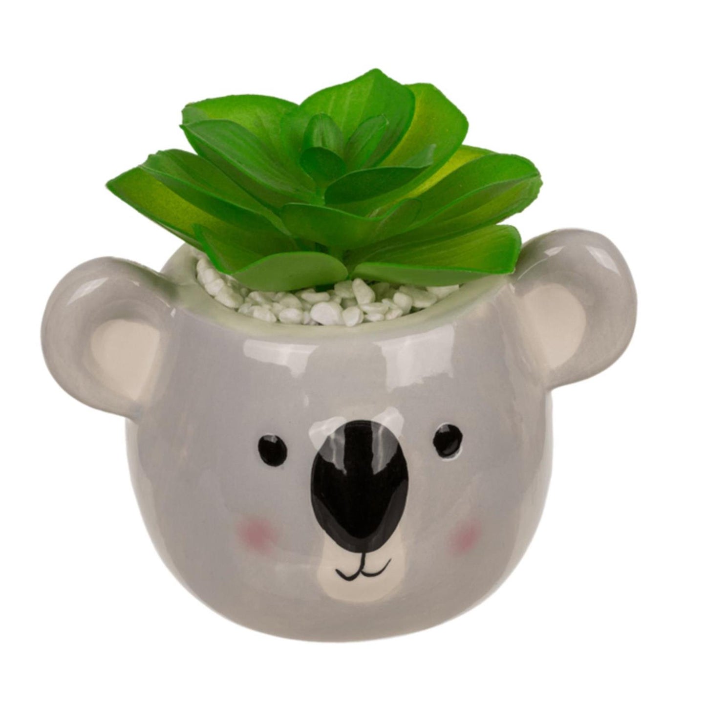 Ootb vetplant in pot, luiaard of koala