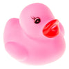Duckiez coloured eend - 24 stuks