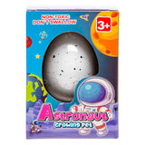 Duckiez groeiend ei astronaut - afbeelding 2