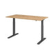 Bach zit-sta-werkstation hammerer xmka16 160 x 80 cm