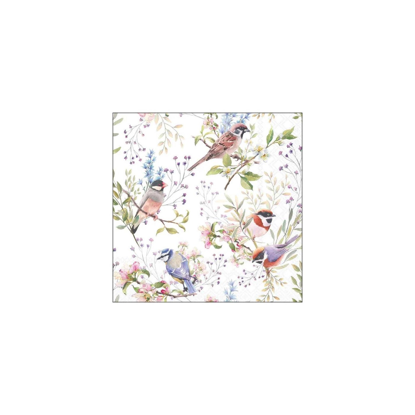 Ambiente servetten 25cm busy birds fsc mix