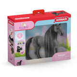 Schleich HORSE CLUB Beauty Horse Criollo Definitivo Merrie 42581 - afbeelding 2