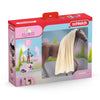 Schleich horse club starter set leo rocky 42586