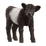 Schleich farm world galloway kalf 13969 - afbeelding 1