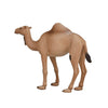 Mojo wildlife arabische kameel - 387113