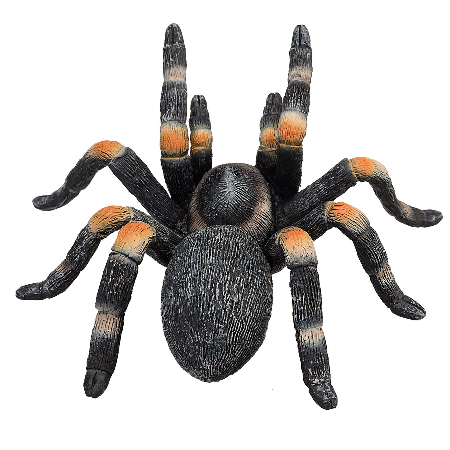 Mojo wildlife rode tarantula - 387213