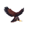Mojo wildlife steenarend - 381051