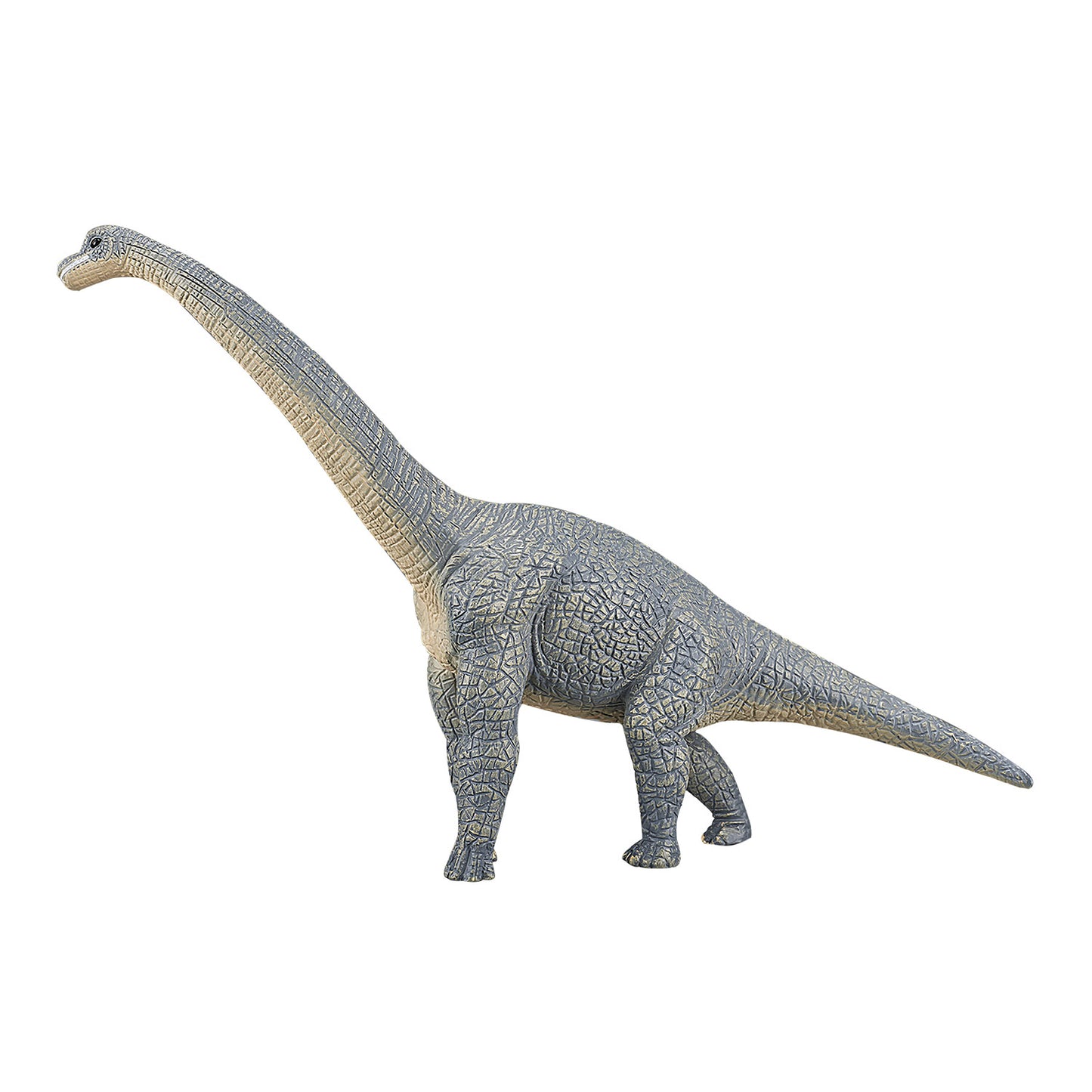 Mojo prehistorie brachiosaurus - 387044