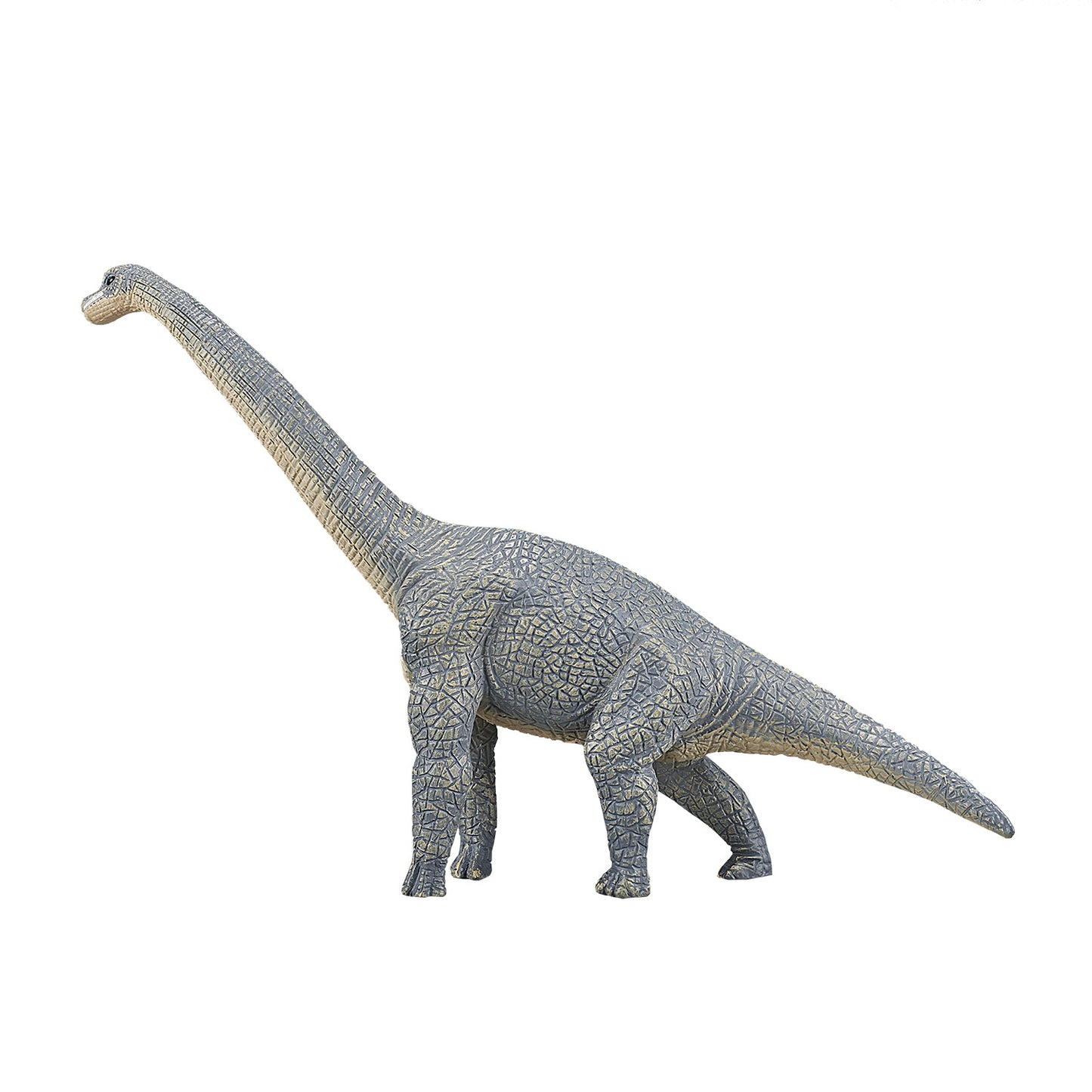 Mojo prehistorie brachiosaurus - 387044