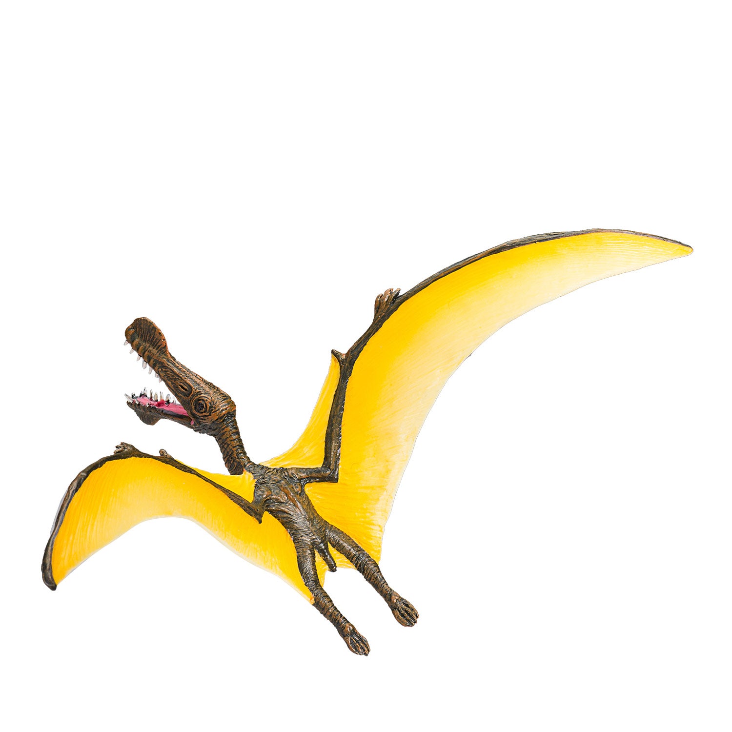 Mojo prehistorie tropeognathus - 387375