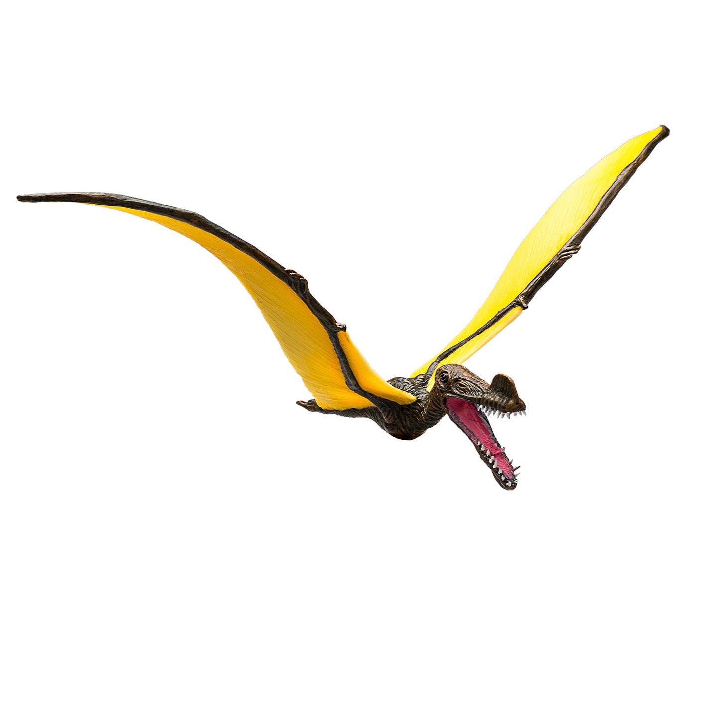Mojo prehistorie tropeognathus - 387375