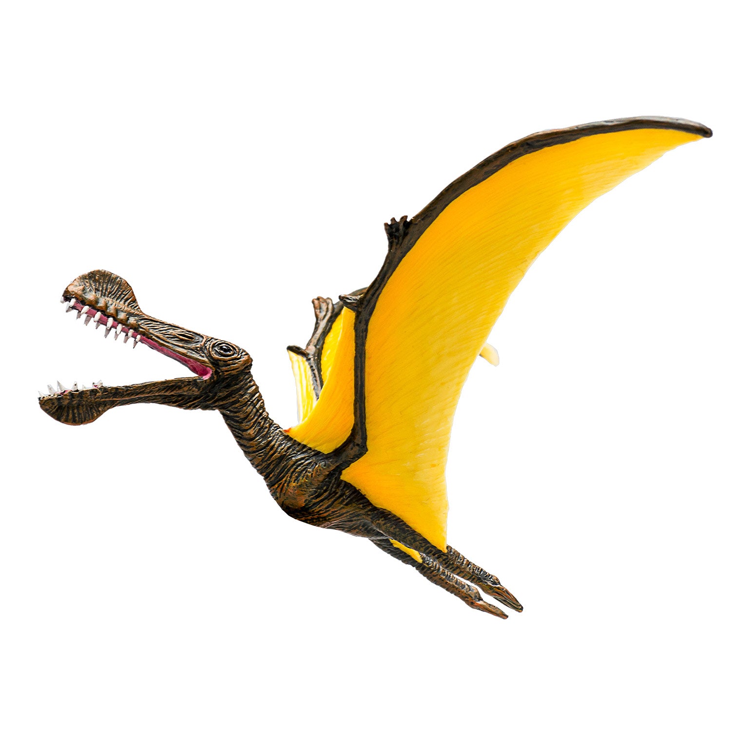 Mojo prehistorie tropeognathus - 387375