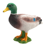 Mojo farmland wilde eend - 387127 - afbeelding 1