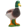 Mojo farmland wilde eend - 387127
