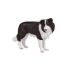 Mojo farmland border collie - 387203