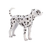 Mojo farmland dalmatiër - 387248