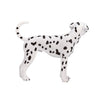 Mojo Farmland Dalmatiër 387248