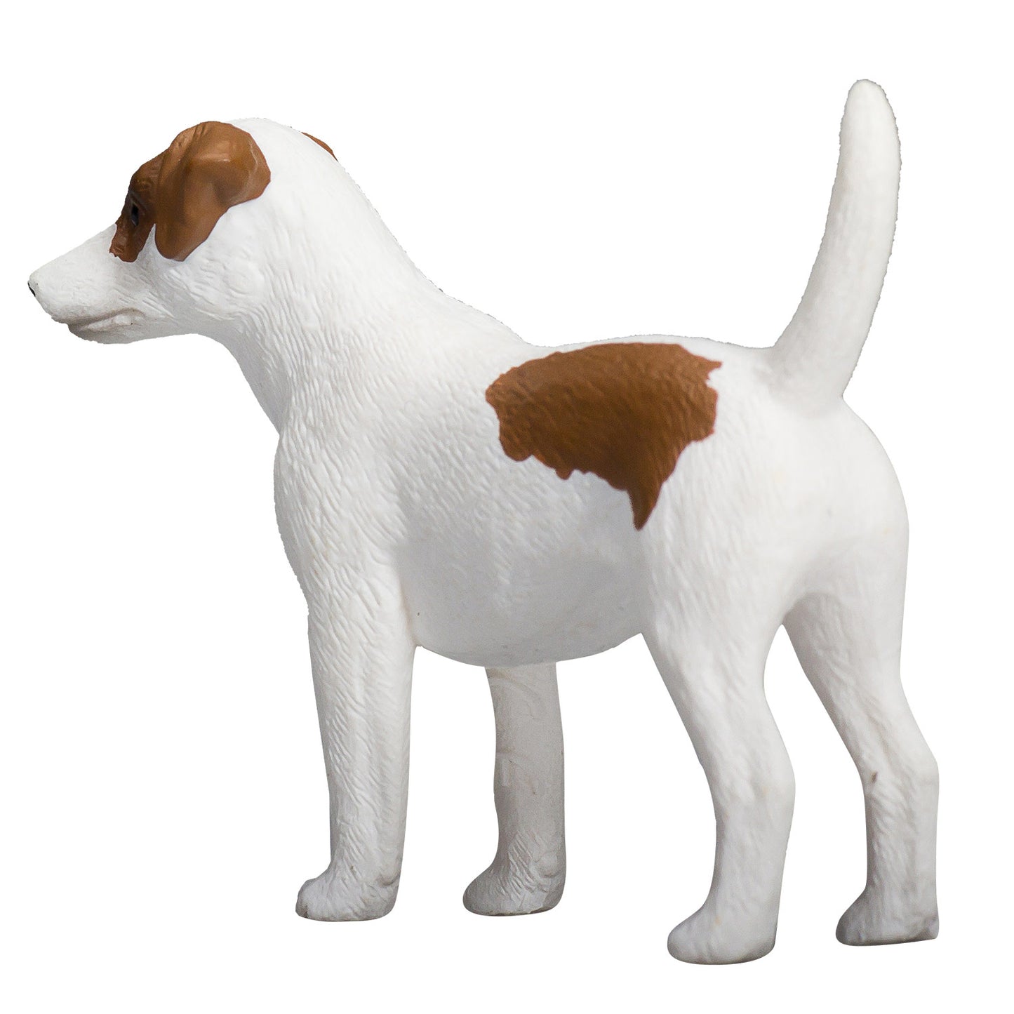 Mojo farmland jack russell terriër - 387286