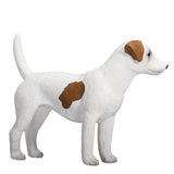 Mojo farmland jack russell terriër - 387286 - afbeelding 5