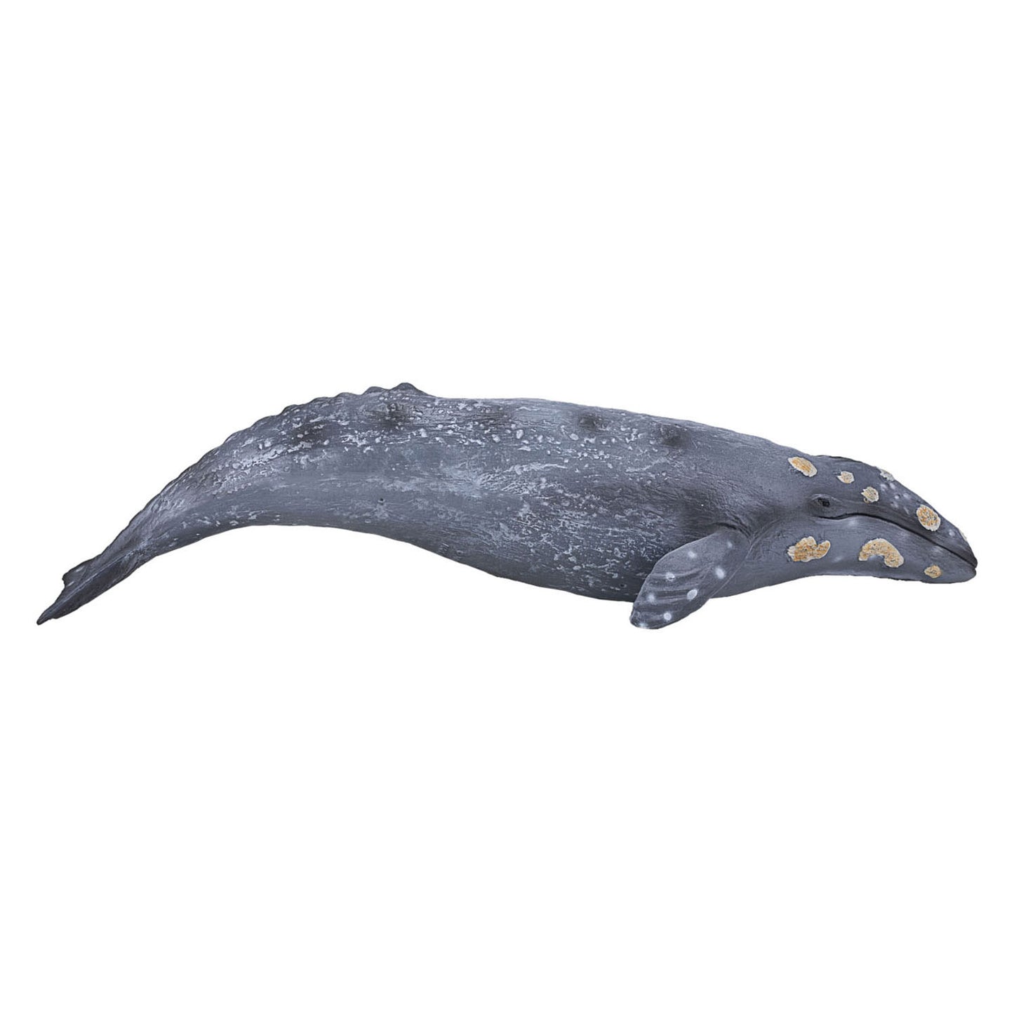 Mojo sealife - grijze walvis 387280