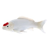 Mojo sealife koi karper - tancho koi - 381101