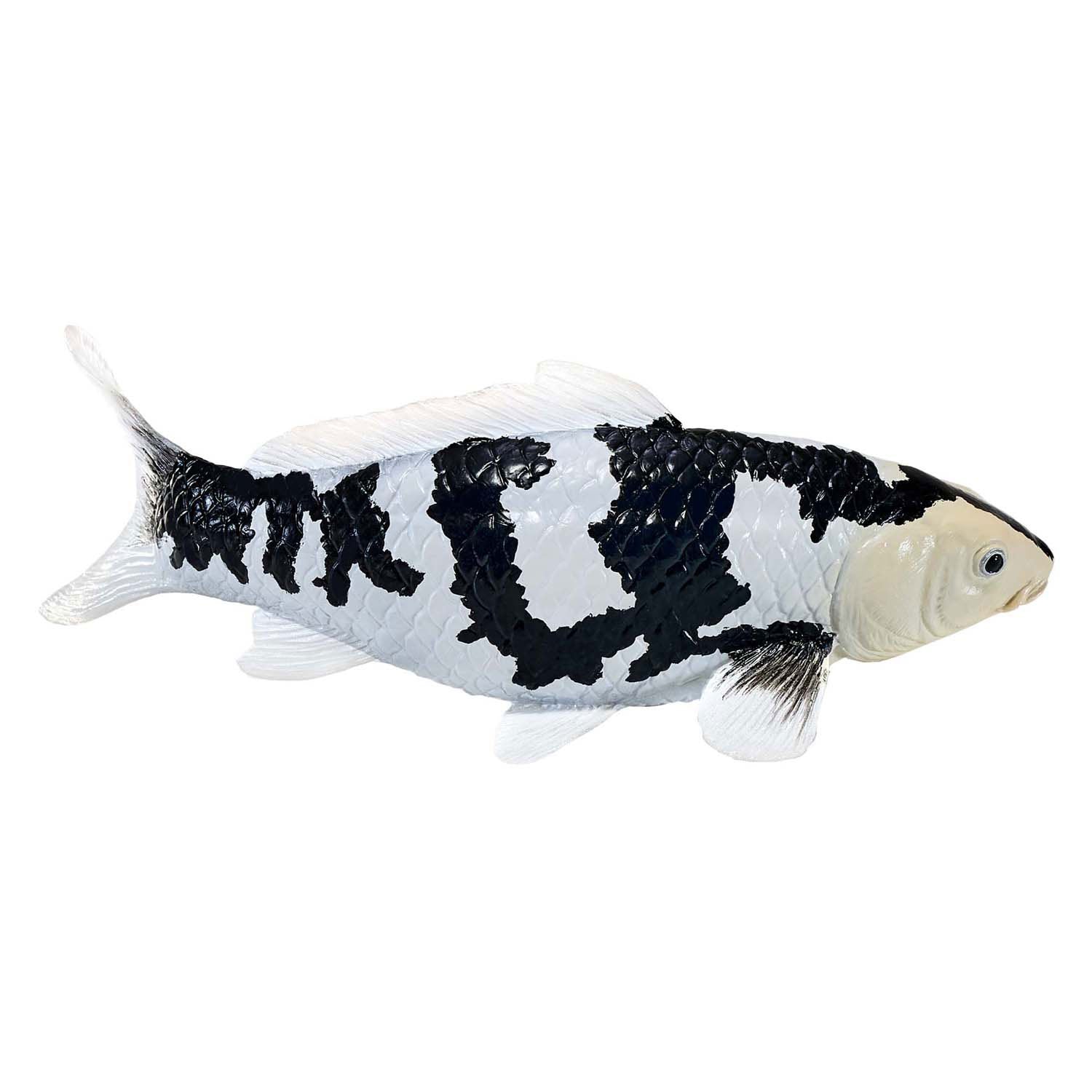 Mojo sealife koi karper - shiro utsuri koi - 381102