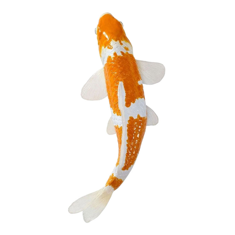 Mojo koi collection - ochiba shigure koi goud wit 381122