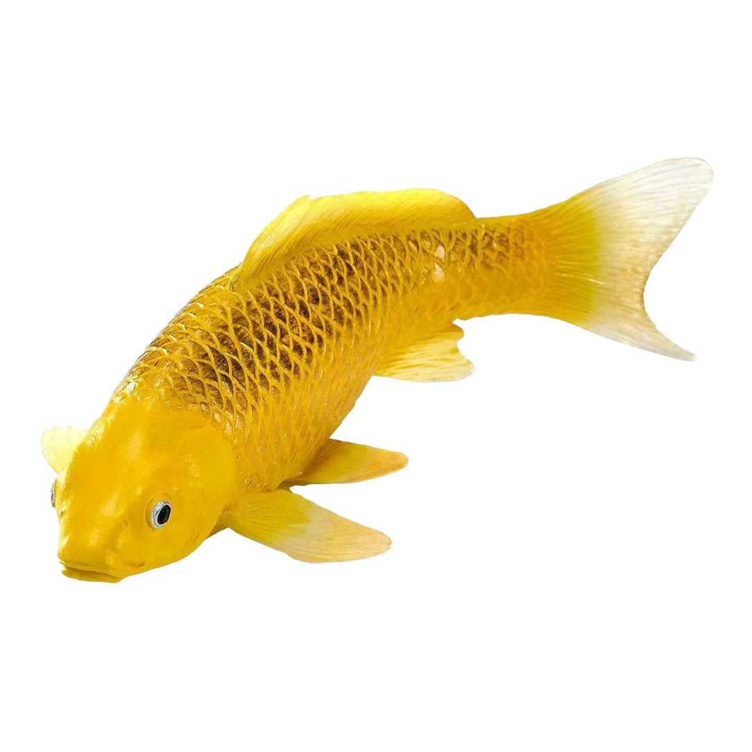 Mojo koi collection - kin matsuba koi goud 381123