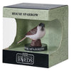 Mojo garden birds huismus 381128