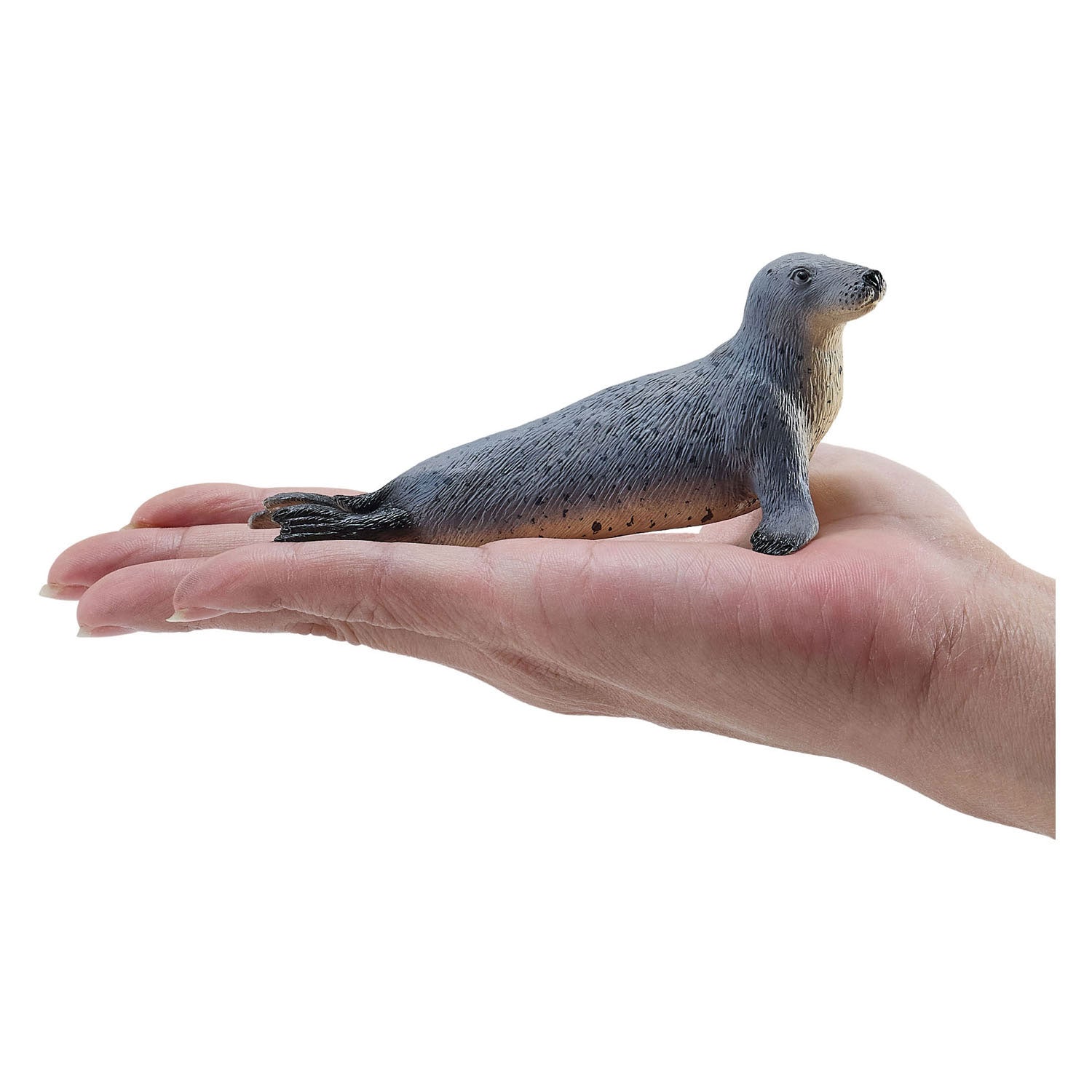 Mojo grijze zeehond - 381134