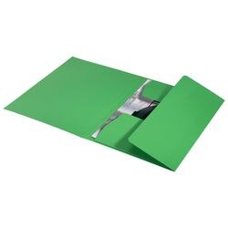 3-klepsmap leitz 39060055 groen 100 g