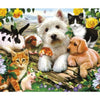 Ravensburger puzzel dierenvriendjes - legpuzzel - 300 stukjes