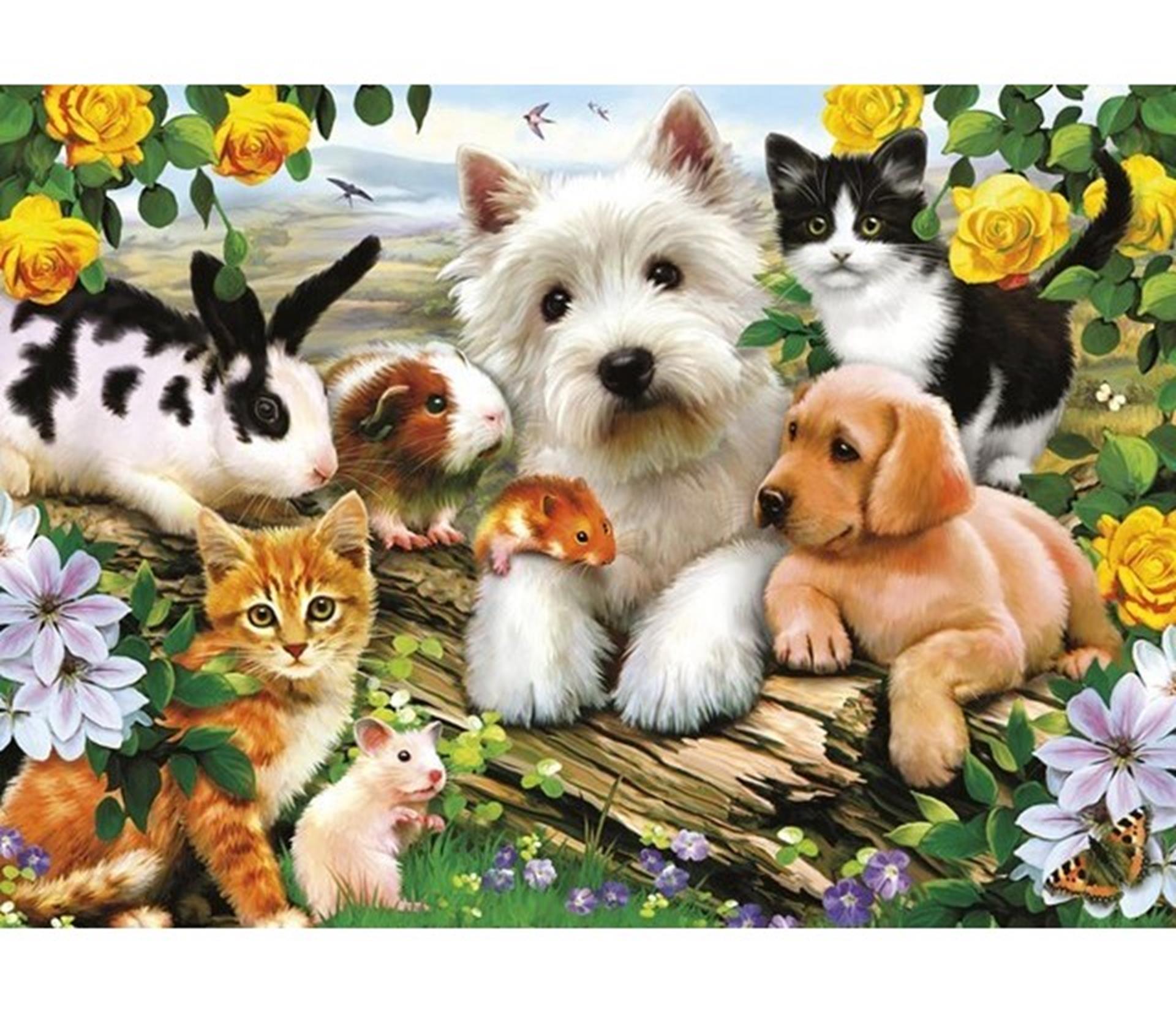 Ravensburger puzzel dierenvriendjes - legpuzzel - 300 stukjes