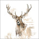 Ambiente servetten 33cm antlers 3 -laags 100% fsc mix