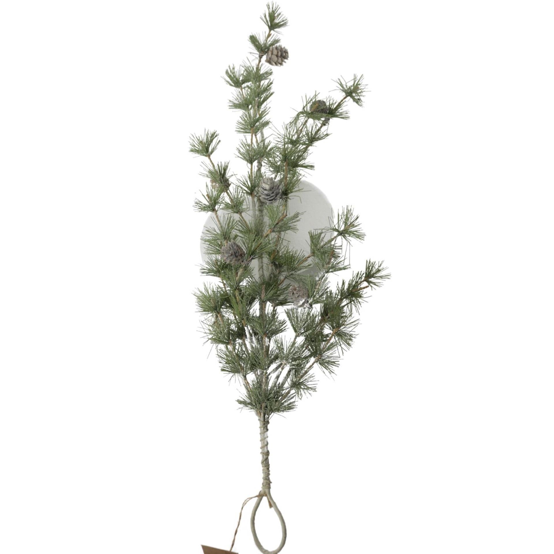 Dijk natural collections dennentak 62x25x9cm groen dennentak 62x25x9cm groen
