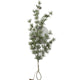 Dijk natural collections dennentak 62x25x9cm groen dennentak 62x25x9cm groen