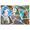 Tactic babydieren memo