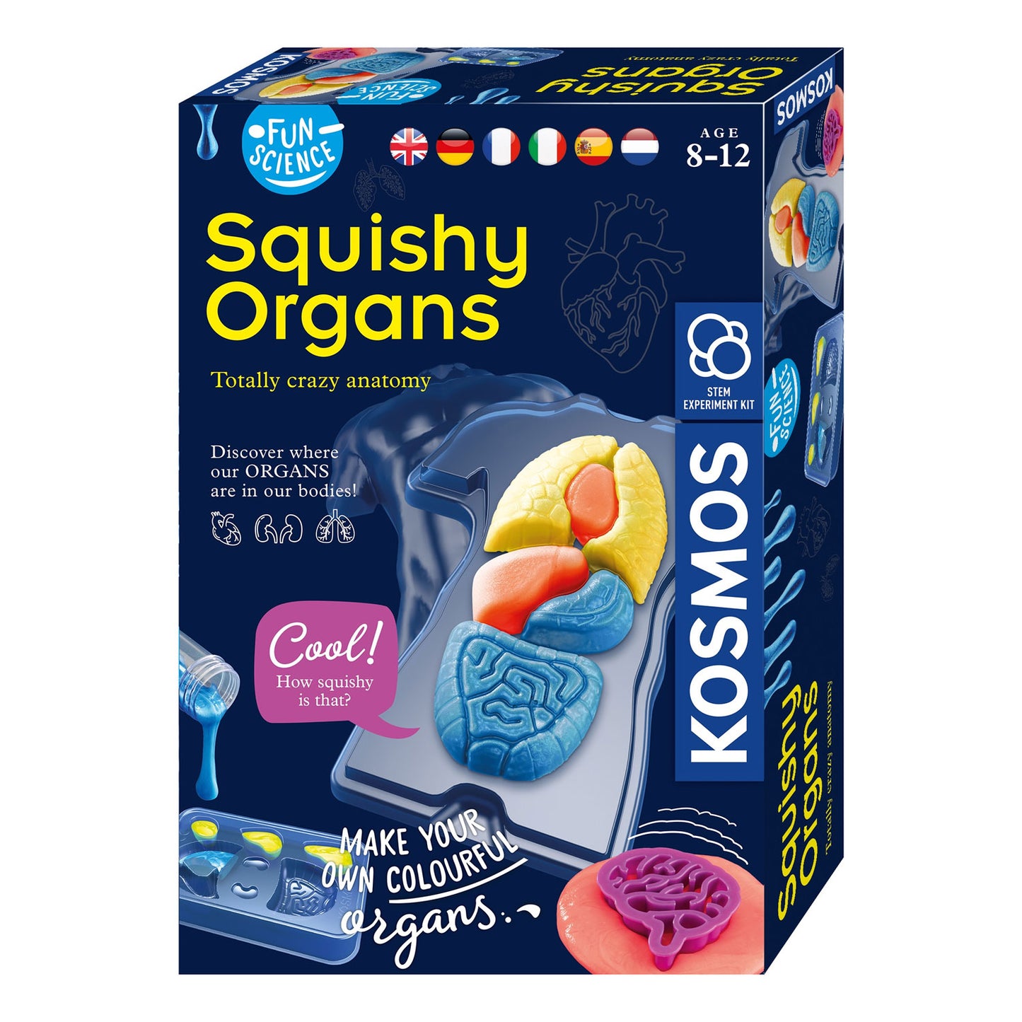 Kosmos Squishy Organen Maken