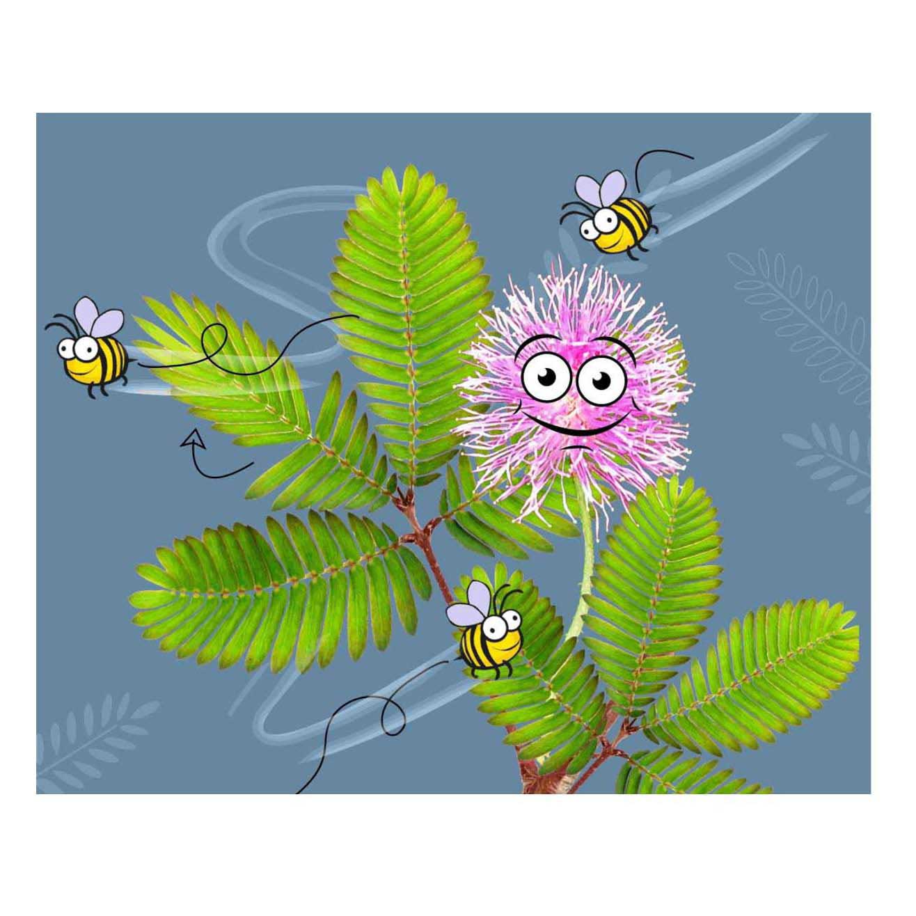 Kosmos mimosa garden speelset