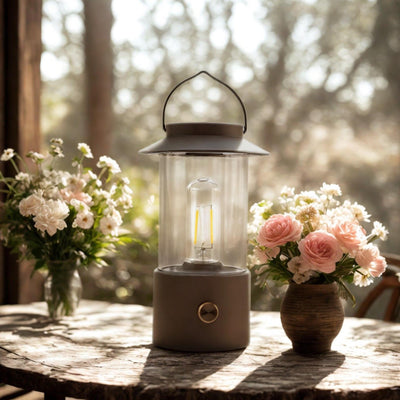 Anna's collection led lantaarn taupe 24x9cm op usb