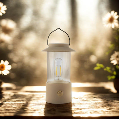 Anna's collection led lantaarn zand 24x9cm op usb