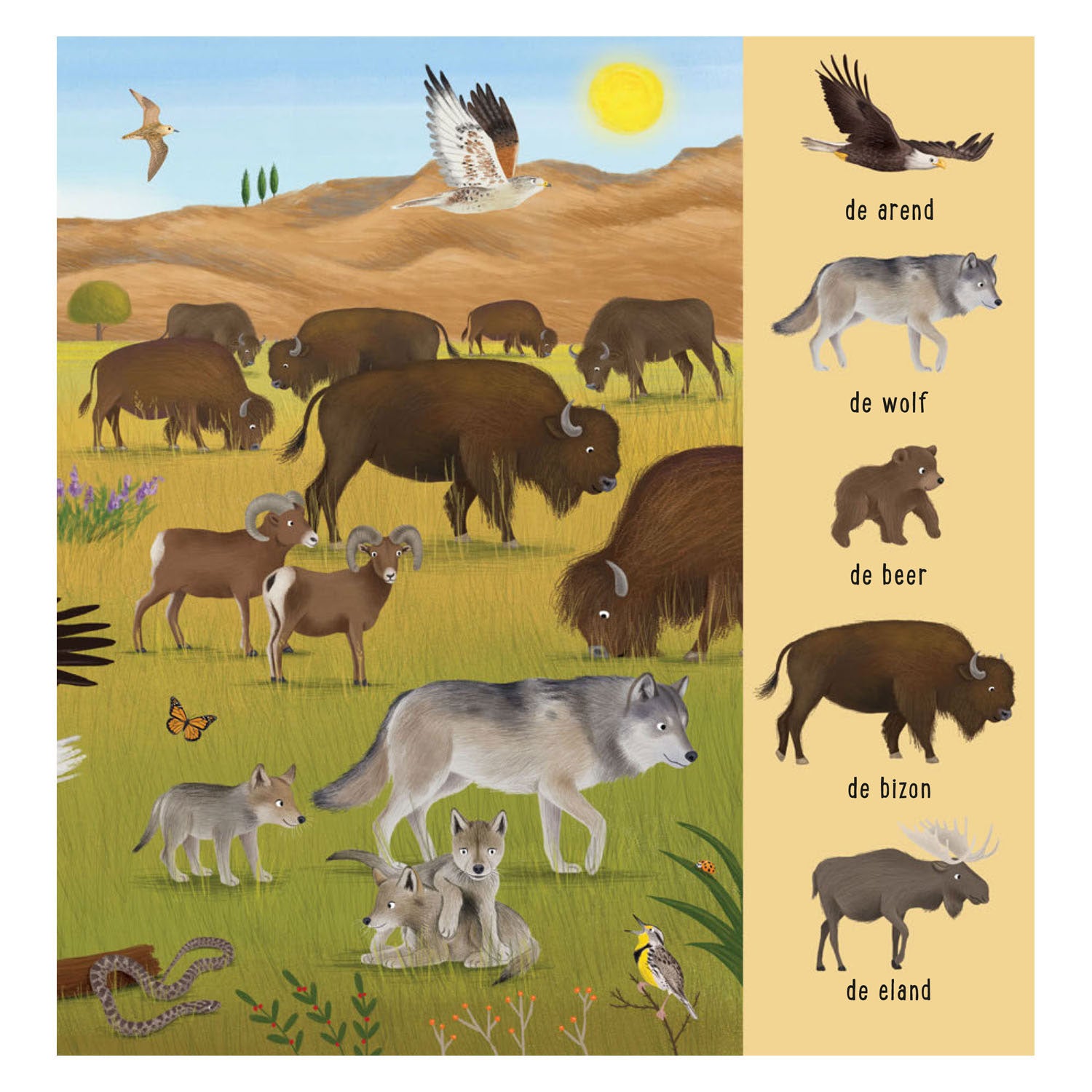Deltas zoekboek - dieren uit de hele wereld