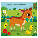 Deltas waar is het konijntje? flapjesboek - afbeelding 2