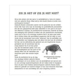 Deltas verbluffende optische puzzels - afbeelding 3